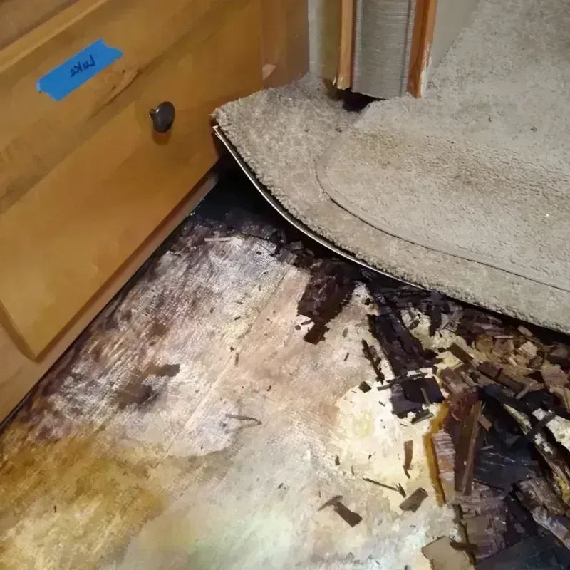 Best Wood Floor Water Damage Service in Blauvelt, NY